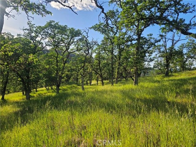 15566 Joseph Trail, Lower Lake, CA 95457