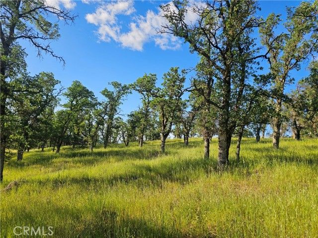 15566 Joseph Trail, Lower Lake, CA 95457