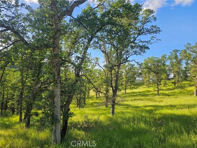 15566 Joseph Trail, Lower Lake, CA 95457