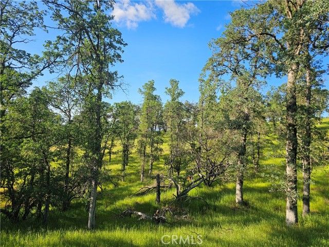 15566 Joseph Trail, Lower Lake, CA 95457