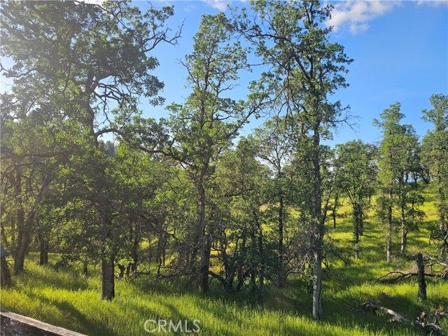 15566 Joseph Trail, Lower Lake, CA 95457