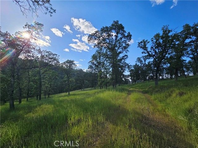 15566 Joseph Trail, Lower Lake, CA 95457