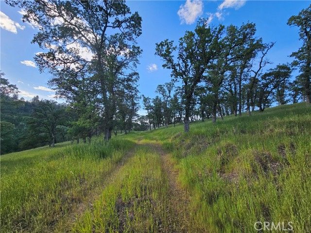 15566 Joseph Trail, Lower Lake, CA 95457