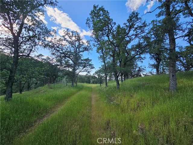 15566 Joseph Trail, Lower Lake, CA 95457