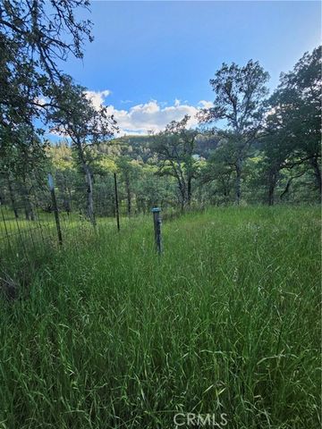 15566 Joseph Trail, Lower Lake, CA 95457