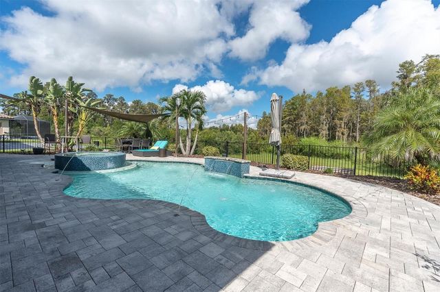 12813 BERRYPICK TRAIL, Odessa, FL 33556