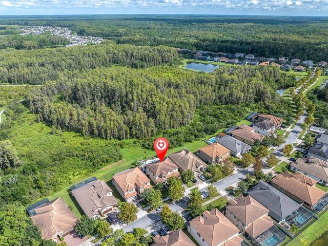 12813 BERRYPICK TRAIL, Odessa, FL 33556