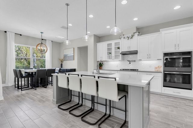 12813 BERRYPICK TRAIL, Odessa, FL 33556