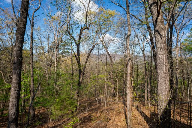 94 Daisy Lane, Flintstone, GA 30725