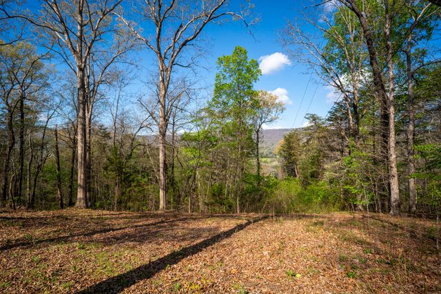 94 Daisy Lane, Flintstone, GA 30725