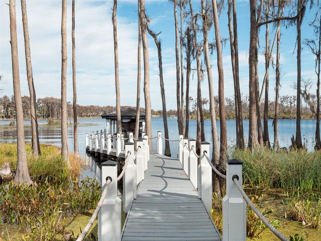 6117 LOUISE COVE DRIVE, Windermere, FL 34786