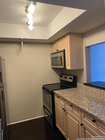 8401 N New Braunfels Ave Apt 219, San Antonio, TX 78209