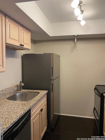 8401 N New Braunfels Ave Apt 219, San Antonio, TX 78209