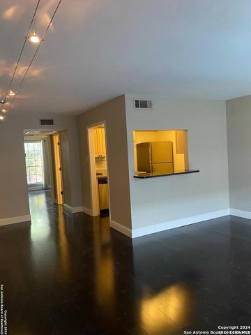 8401 N New Braunfels Ave Apt 219, San Antonio, TX 78209