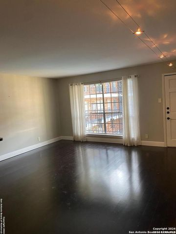8401 N New Braunfels Ave Apt 219, San Antonio, TX 78209