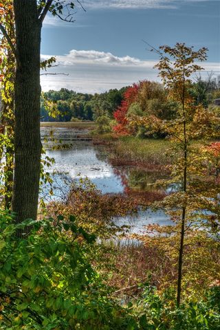 6967 Railway Court, Richland, MI 49083