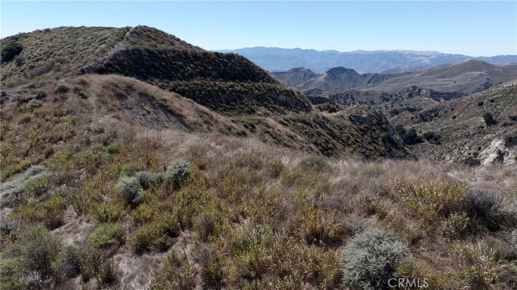 1 Burlwood Dr, Castaic, CA 91384 — photo 3