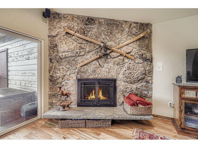 244 Lodgepole St 1-36, Dillon, CO 80435