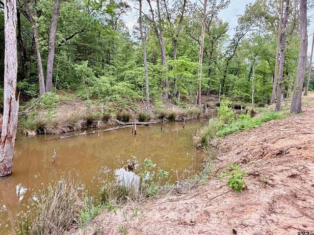 224 County Road 2766, Mineola, TX 75773