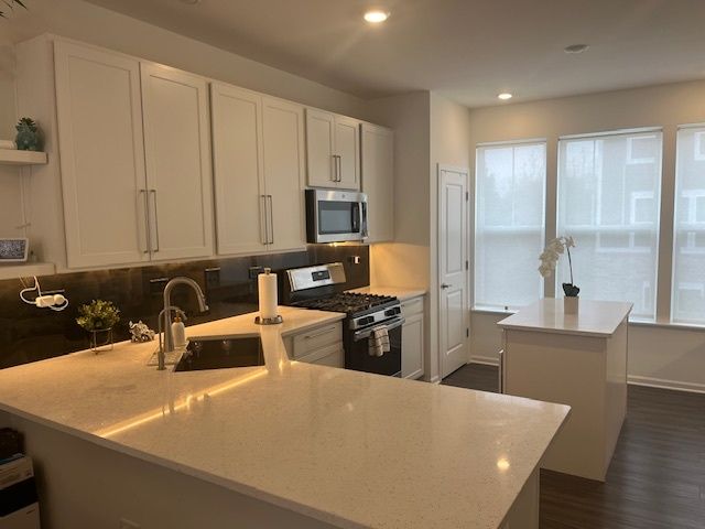 522 Wolverine Drive 522, Aurora, IL 60502