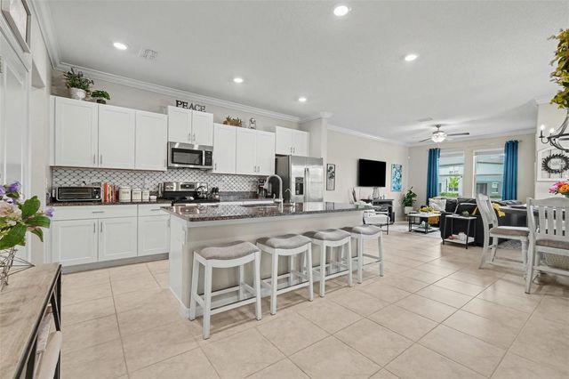 31962 BLUE PASSING LOOP, Wesley Chapel, FL 33545