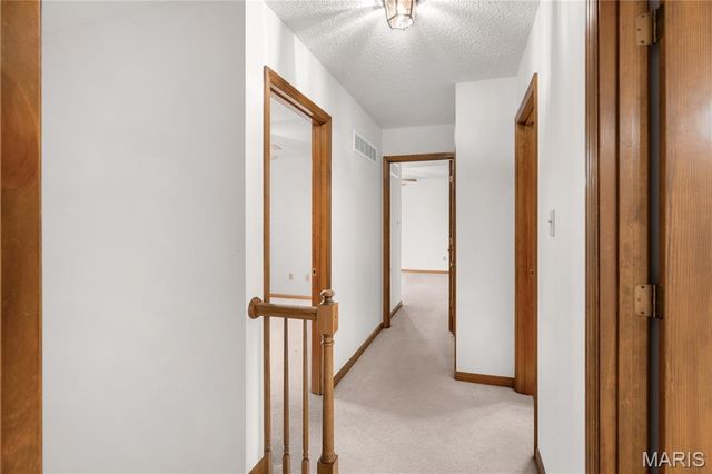 113 Greenstone Drive, St Peters, MO 63303