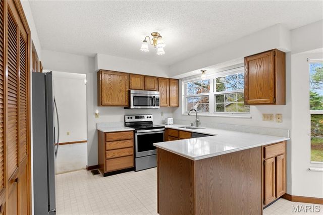 113 Greenstone Drive, St Peters, MO 63303