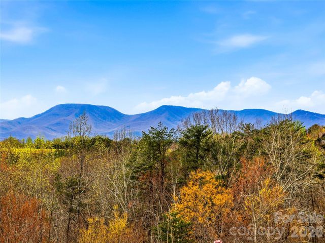 286 Preservation Trail, Columbus, NC 28722