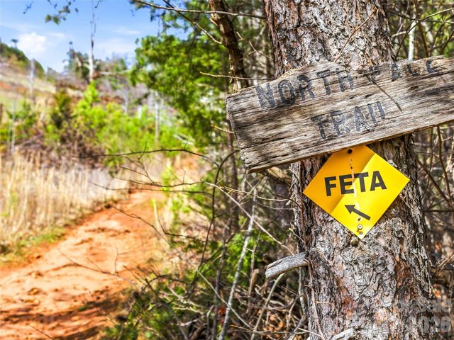 286 Preservation Trail, Columbus, NC 28722