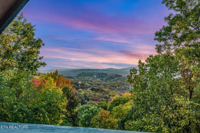 1819 W Arolla Ct. Court, Gatlinburg, TN 37738