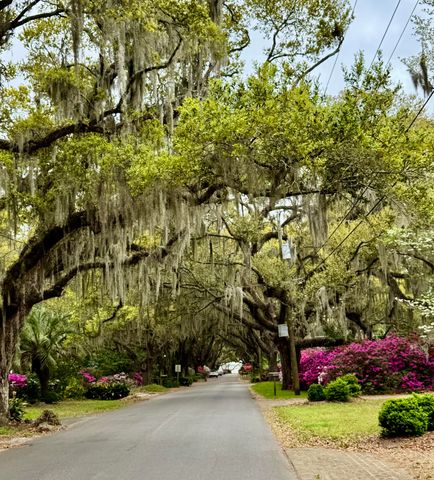 173 Stono Drive, Charleston, SC 29412