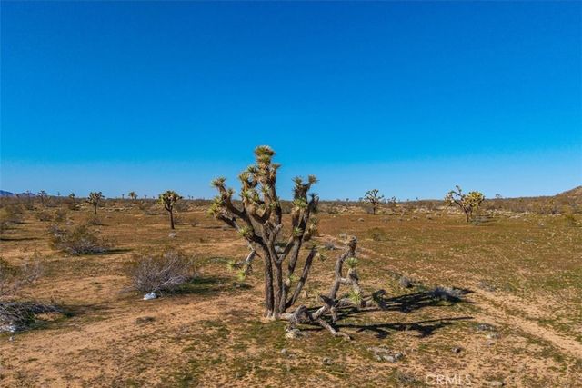 58459 Starlight Mesa Road, Yucca Valley, CA 92284