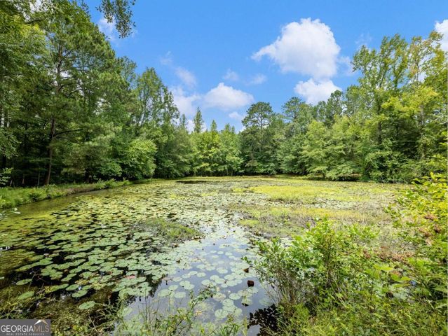 1334 Criswell Road SE, Monroe, GA 30655