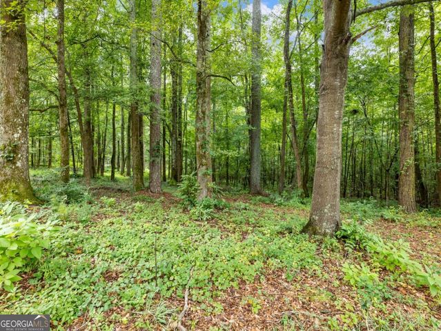 1334 Criswell Road SE, Monroe, GA 30655