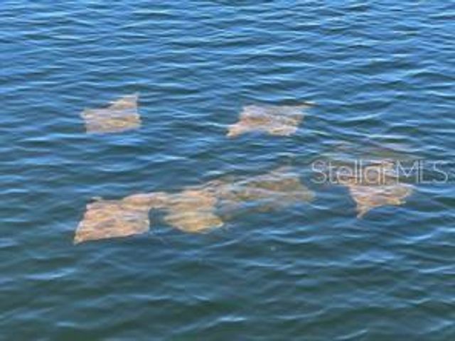 14217 HENDRY COURT, Hudson, FL 34667