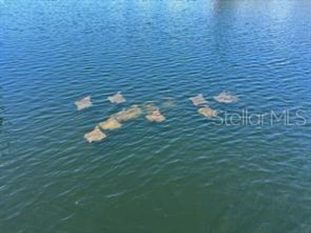 14217 HENDRY COURT, Hudson, FL 34667