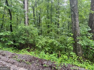 0 Vaughn Road, Temple, GA 30179