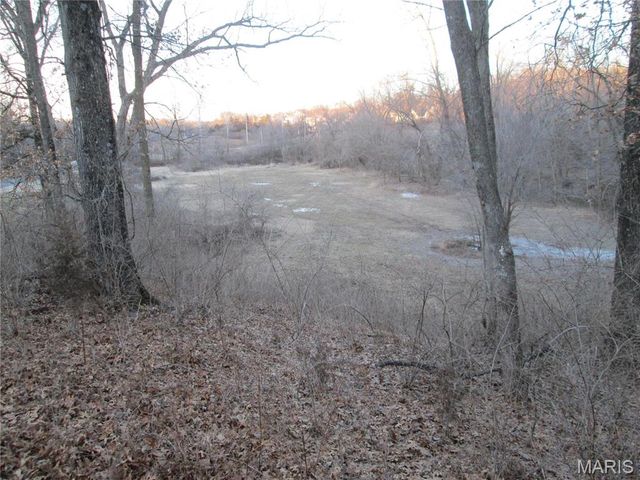 3600 Old Baumgartner, St Louis, MO 63129