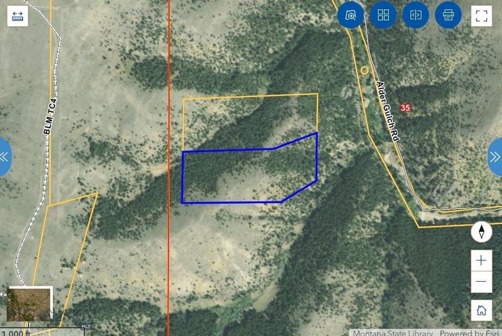 Lot 53 Bell Lode Survey 1320 ME 1021, Virginia City, MT 59729