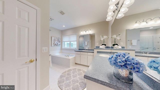 44480 BLUERIDGE MEADOWS DR, Ashburn, VA 20147