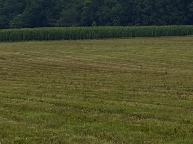 0 Rushing Road, Ethridge, TN 38456