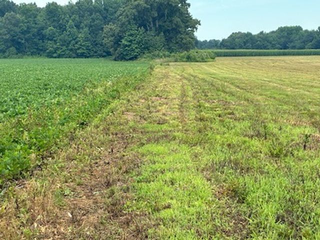 0 Rushing Road, Ethridge, TN 38456