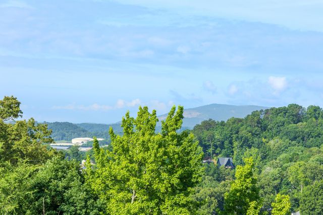 1065 Meroney Street, Chattanooga, TN 37405