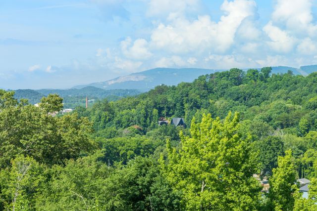 1065 Meroney Street, Chattanooga, TN 37405