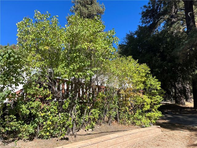 39950 7 Oaks 41, Angelus Oaks, CA 92305