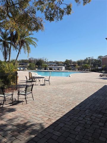 13832 ORANGE SUNSET DRIVE 202, Tampa, FL 33618