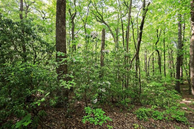 19 Amicalola Drive, Dawsonville, GA 30534