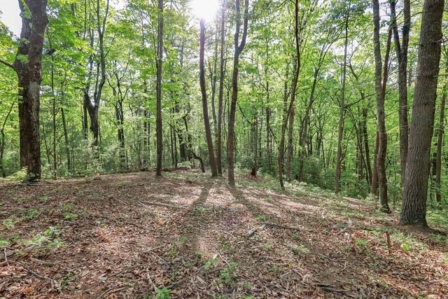 19 Amicalola Drive, Dawsonville, GA 30534