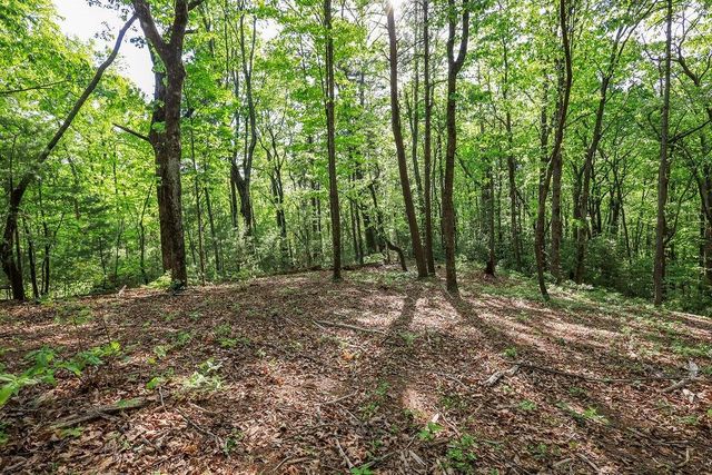 19 Amicalola Drive, Dawsonville, GA 30534