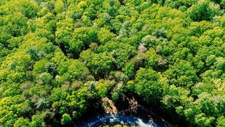 19 Amicalola Drive, Dawsonville, GA 30534